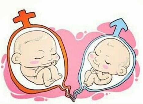 借卵代生包女孩代生包成功